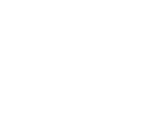 Wechsel Group